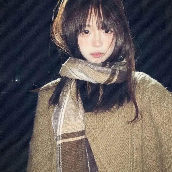 警察与女兵国语