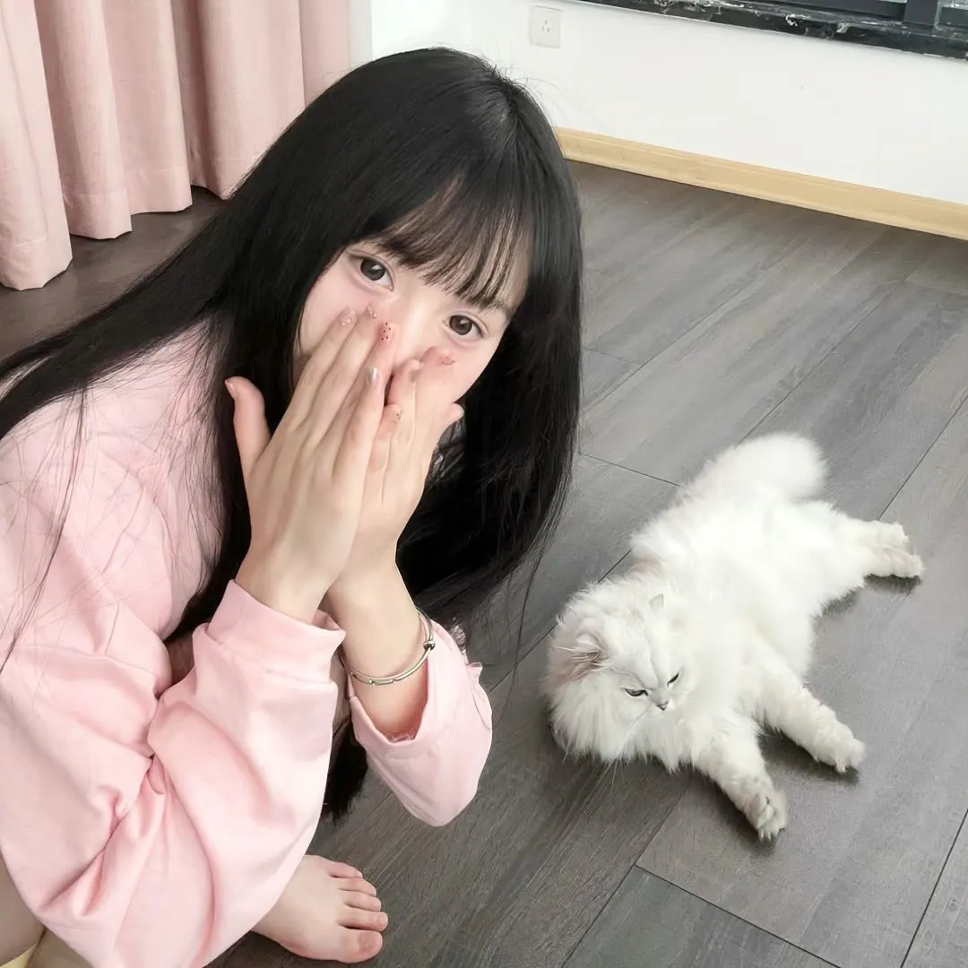 小镇猪事