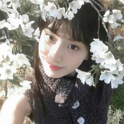 松林外